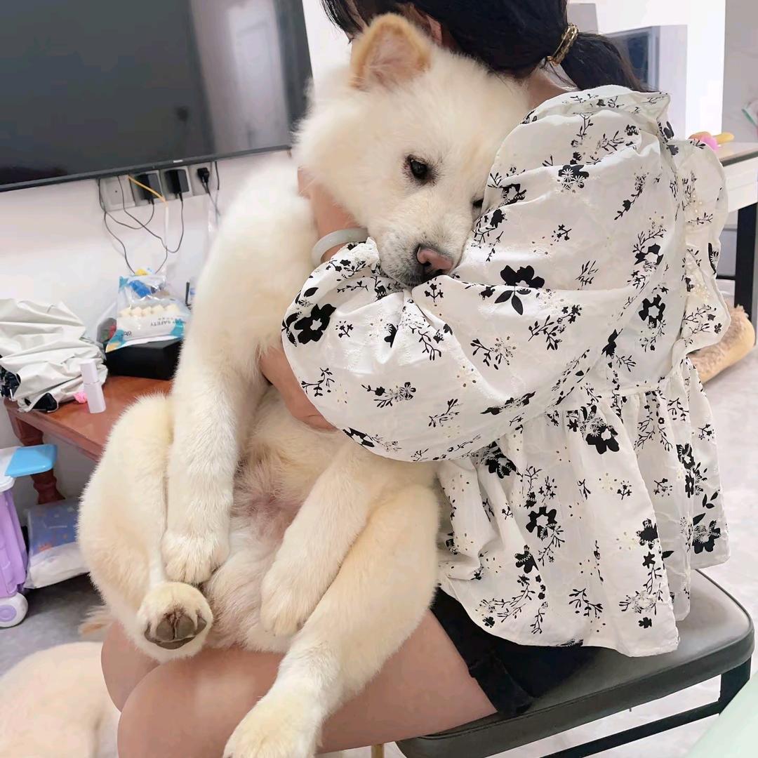 嗯呀