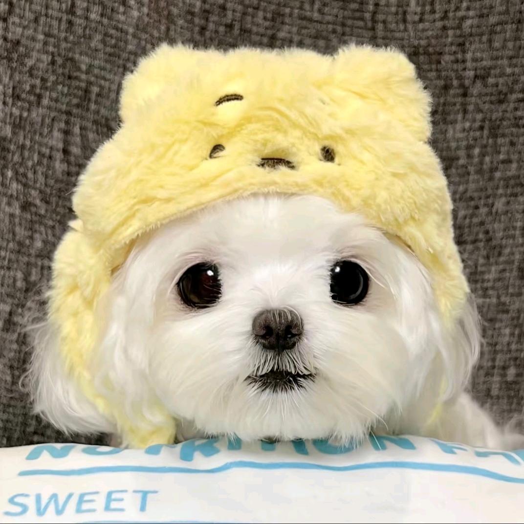 ˏˋ₊ʚ🥧ɞ₊ˎˊ˗