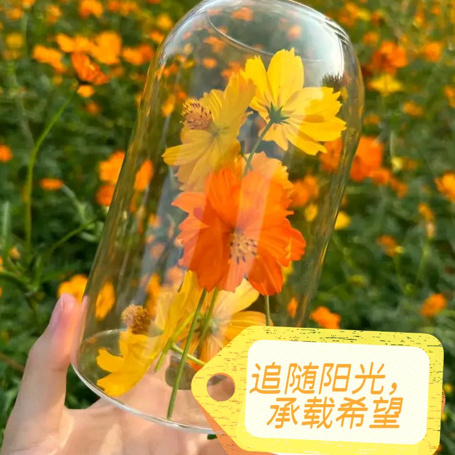 水中月🍟