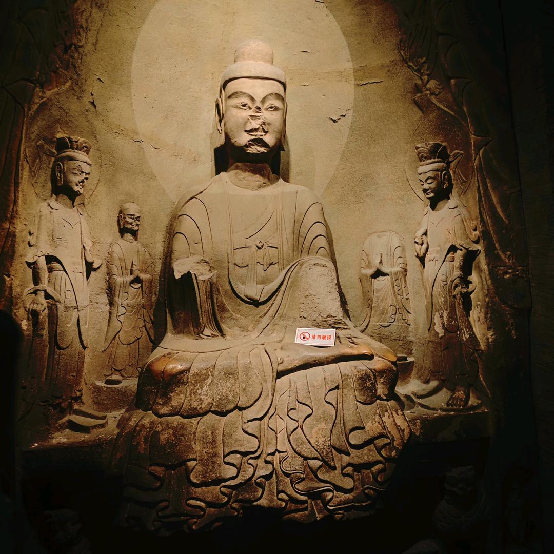 恐高的鸟优选铺