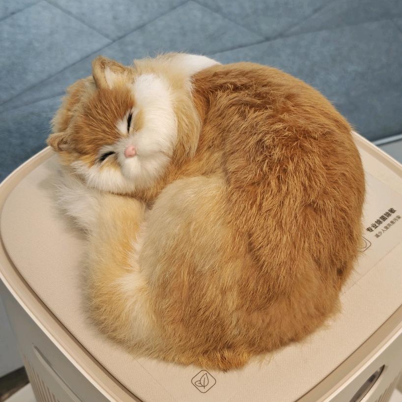 ℒᎭℯ🈳白꧁᭄ ꧂