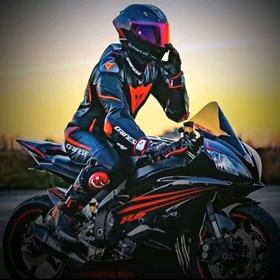 ✨徐家🐭大少✨