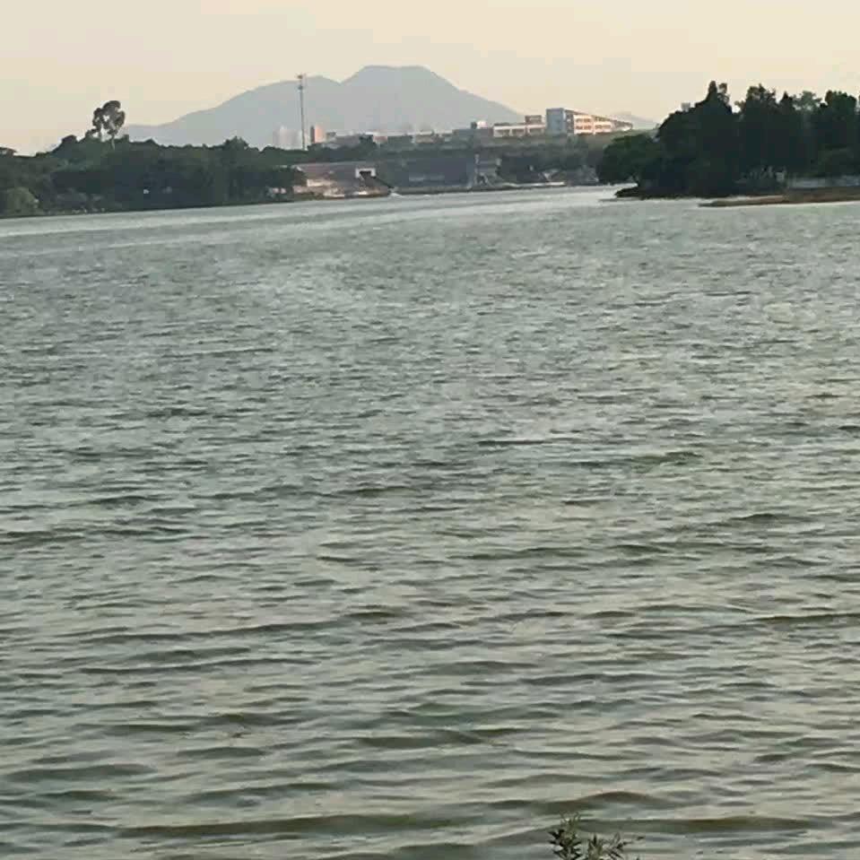 勿念，勿近
