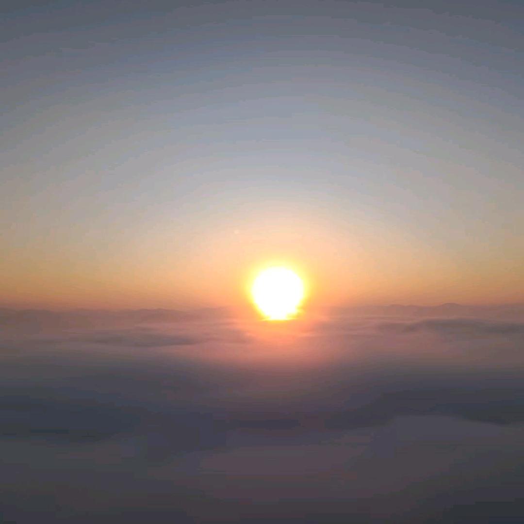 九木