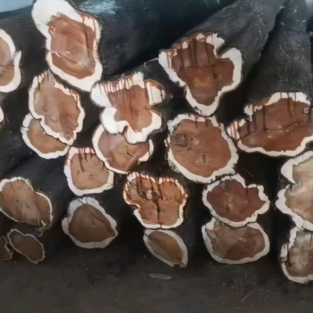 林源寿材加工厂