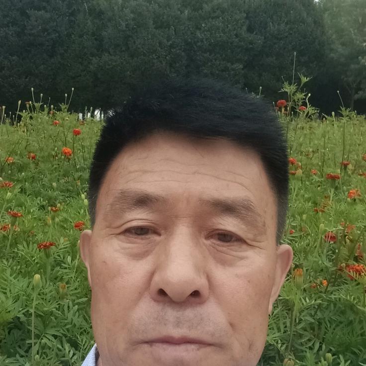耕耘岁月