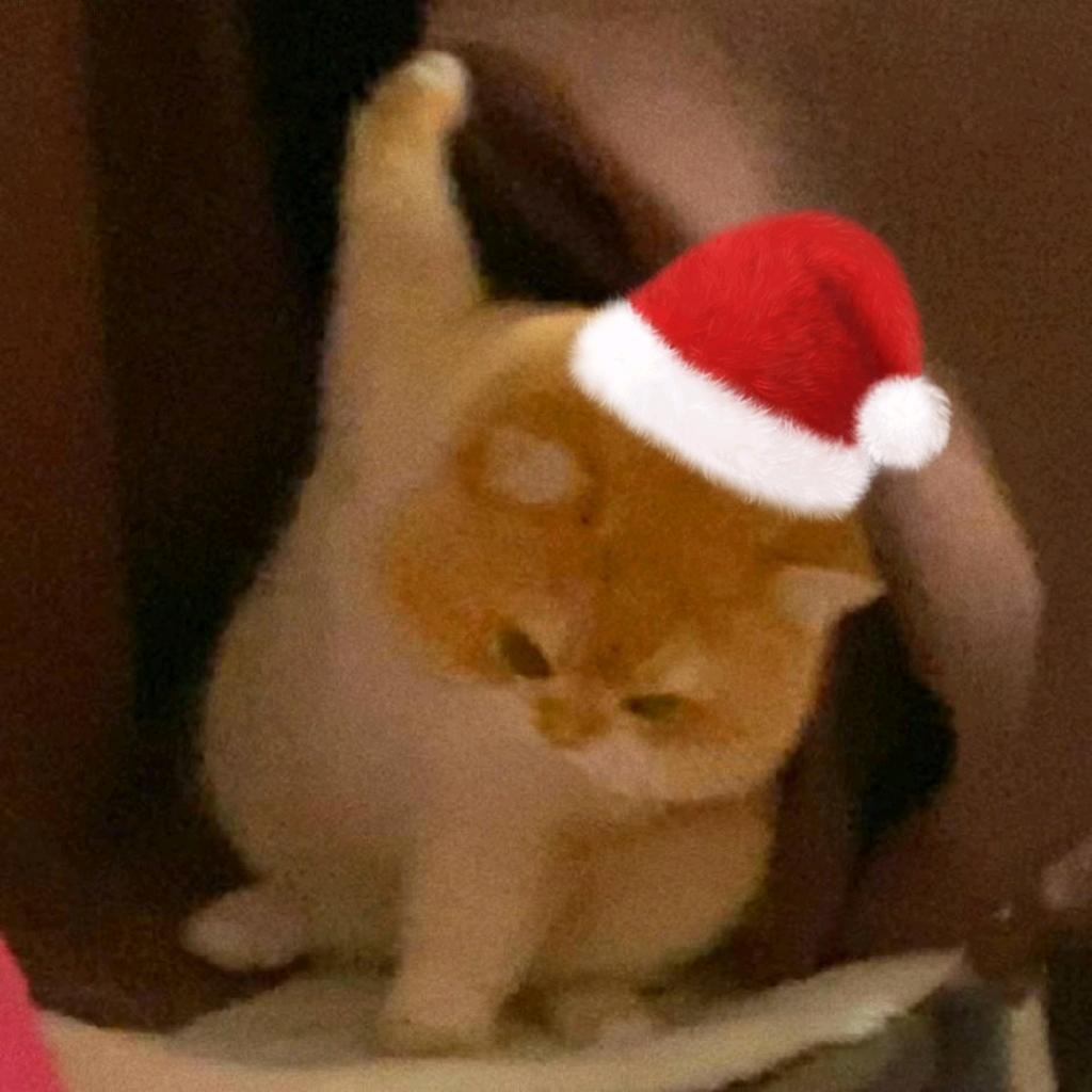 貊貊兮