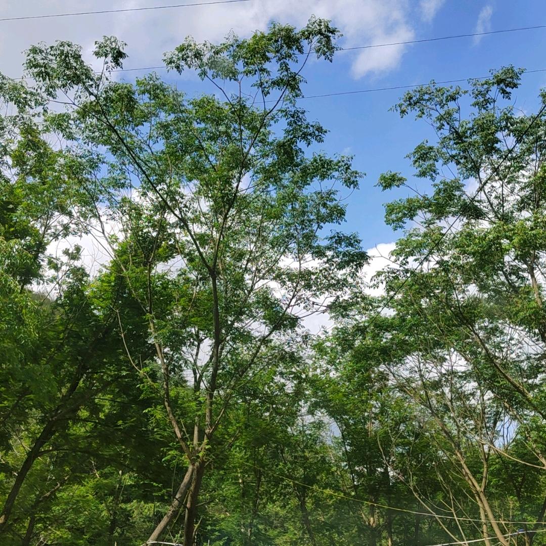 柳秀湾溯溪露营烧烤基地