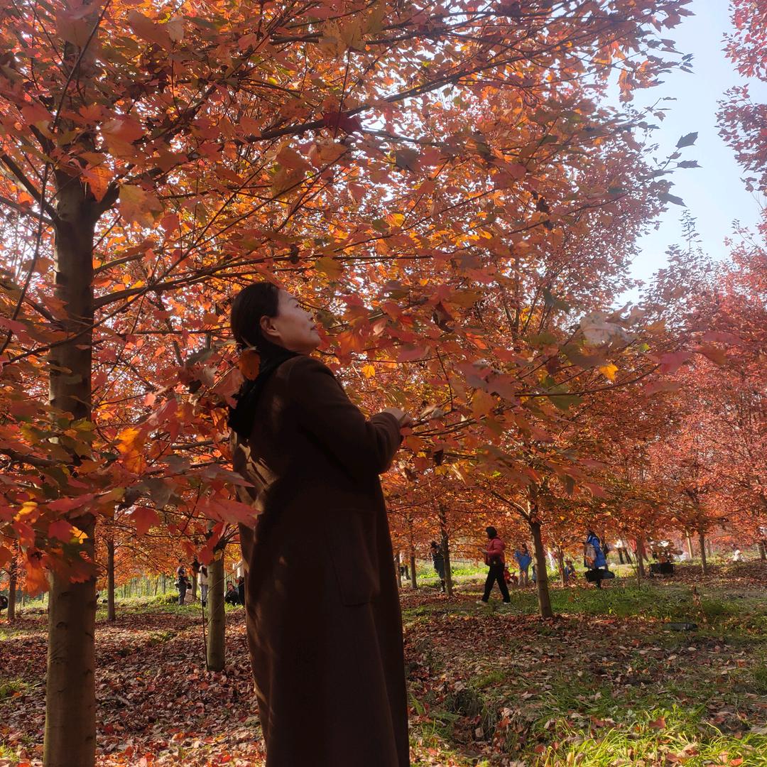 用户4208327842237开心就好