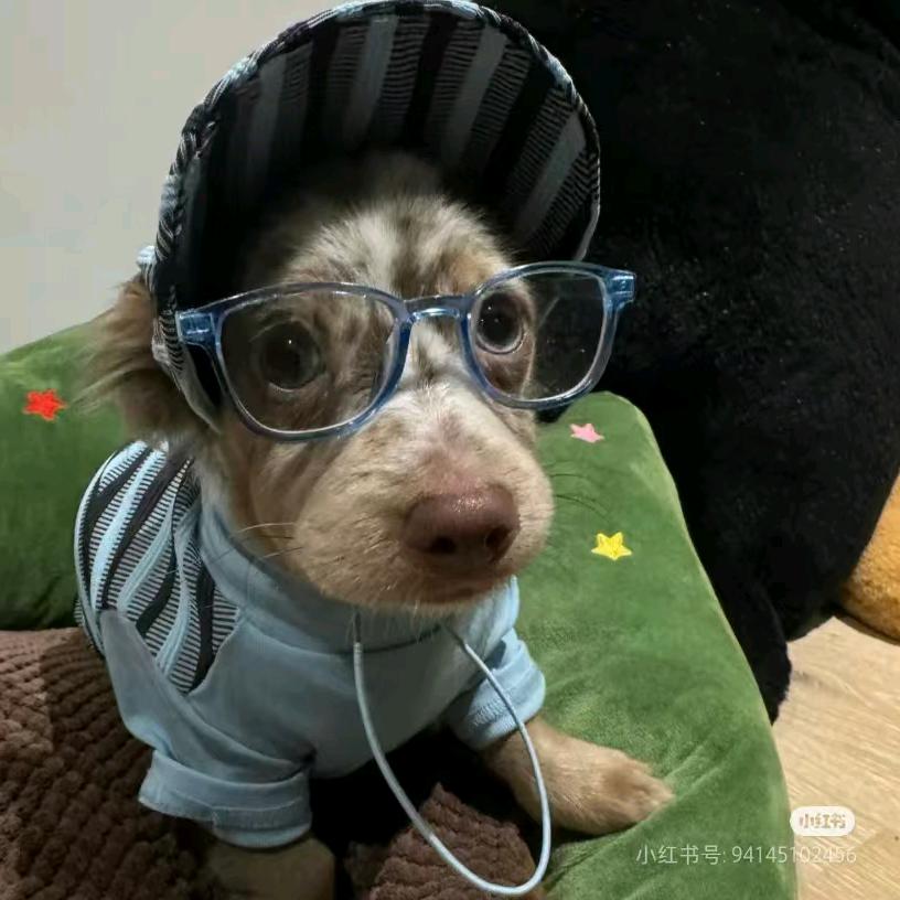 等风来！！！