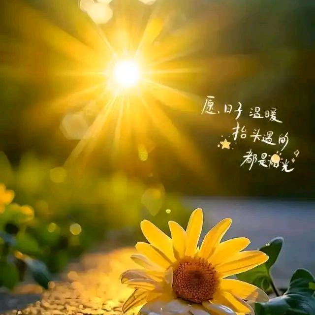 阳光