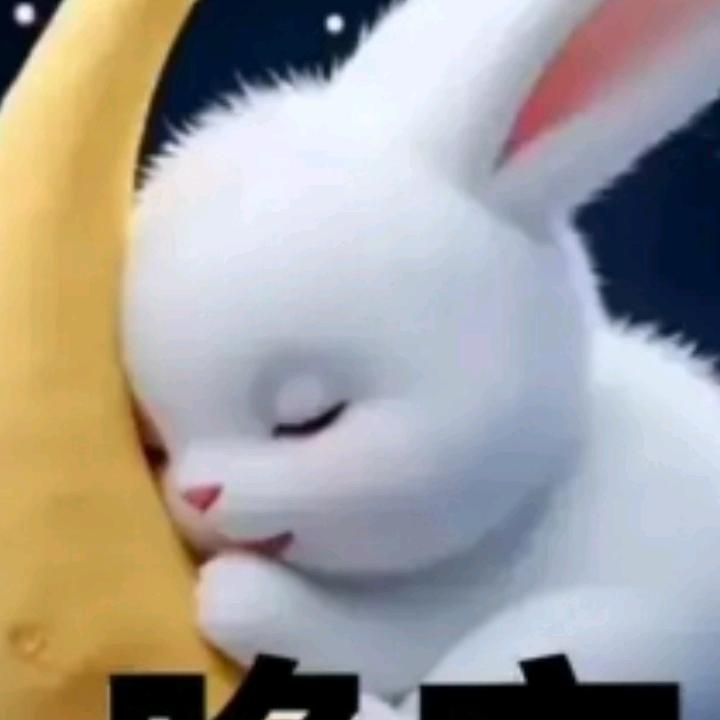 冷暖自知