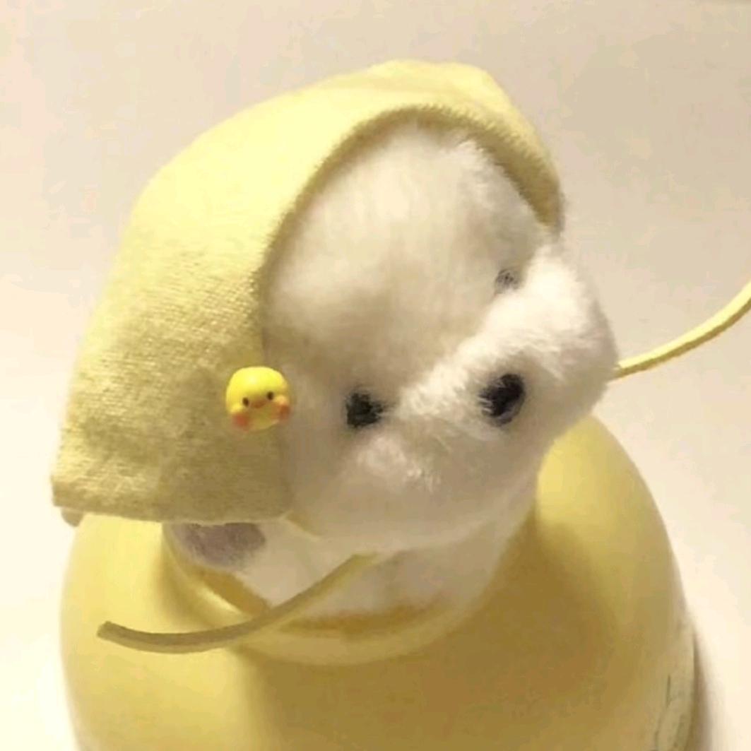 歪梨大王🍐