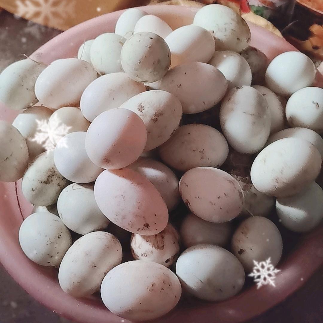 杨大叔