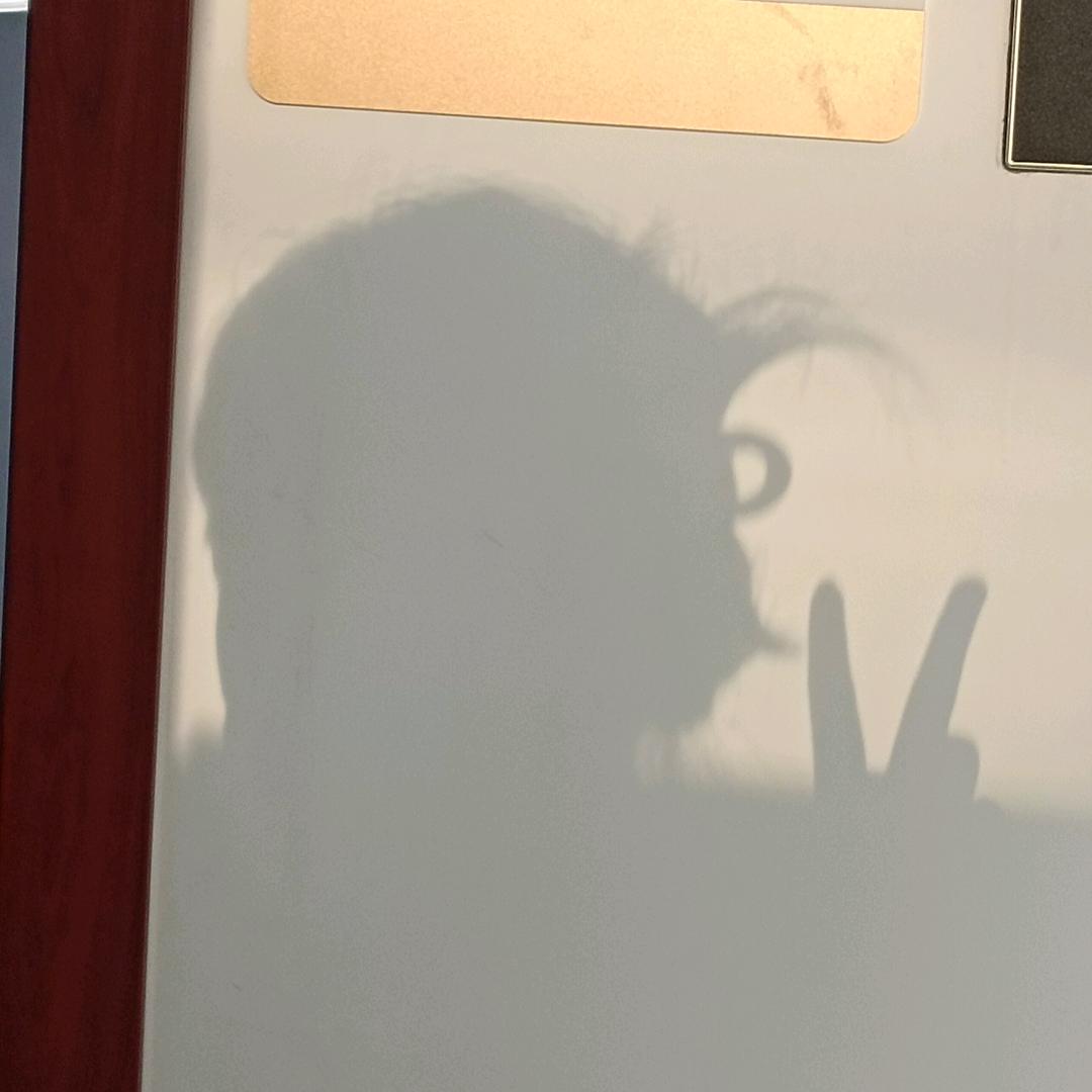 垂涎刘叔的美色头像