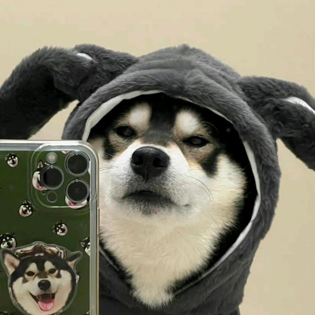 南国有风也有云