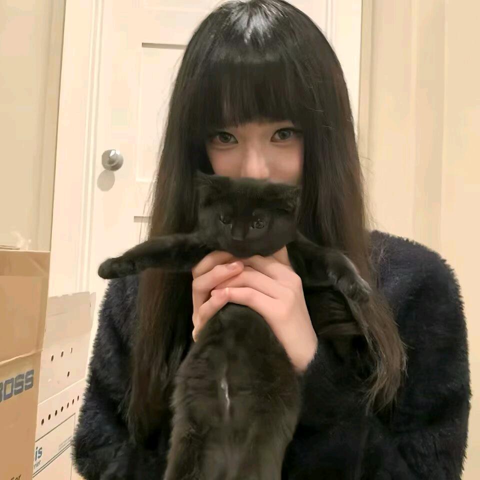 根正苗红好猫猫
