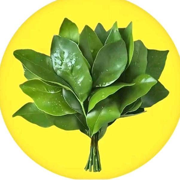 🌈🌈🌈熙熙吖