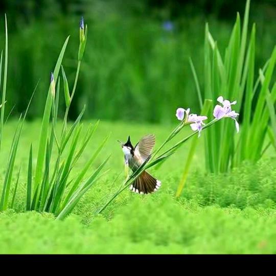 蓝天白云