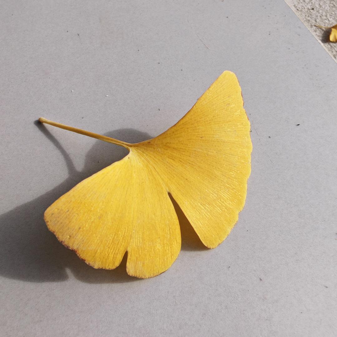 三旭sanxu家居璐璐