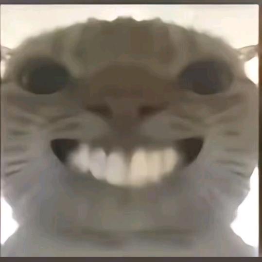 大聪明