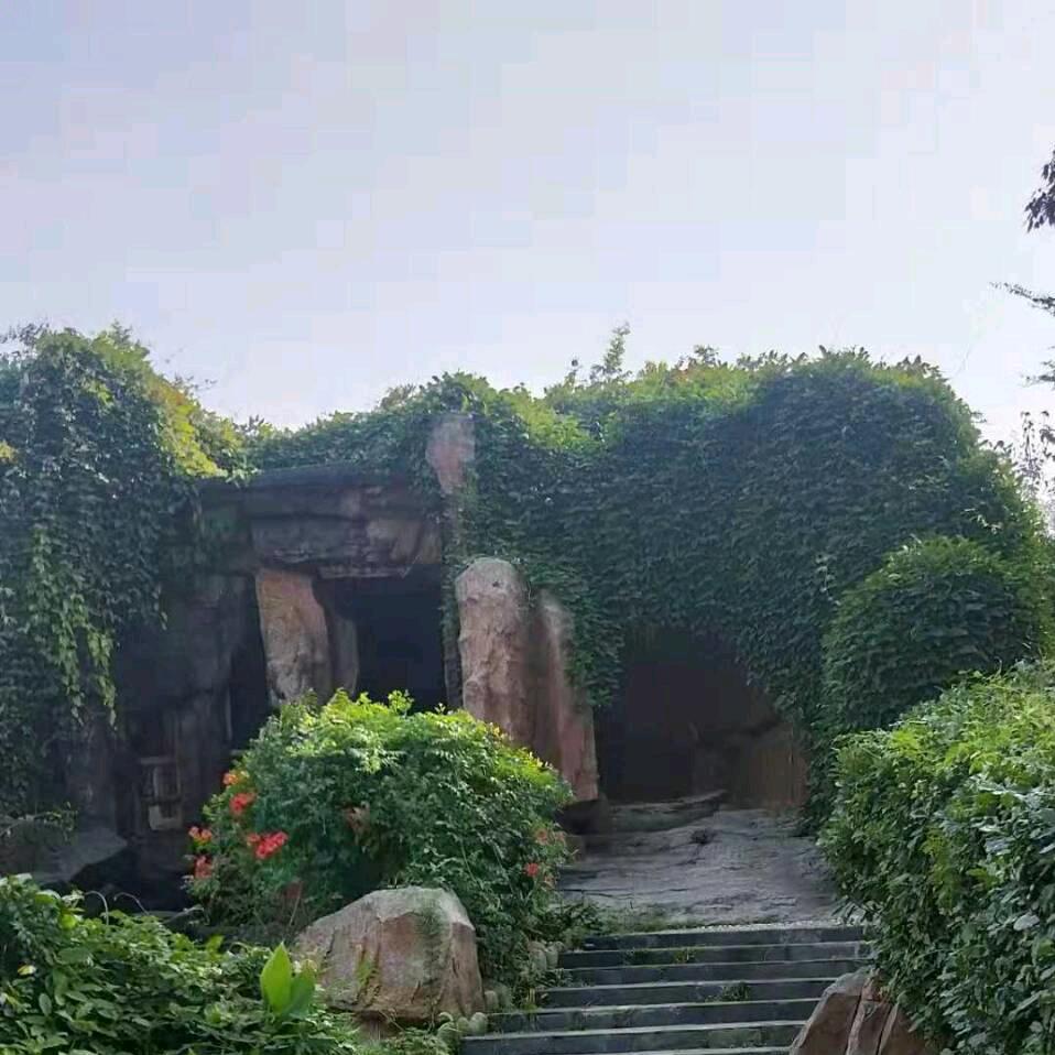 👉豫S~雷哥🎤🎤👈