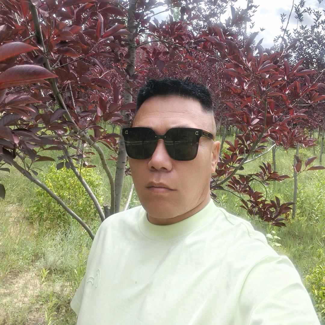弹琴才艺苏哥