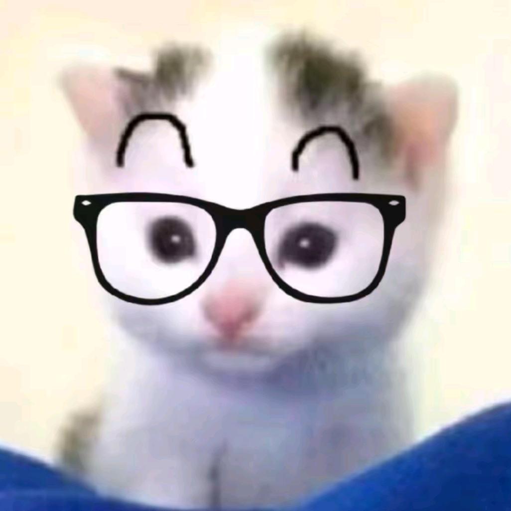 猫处(无畏契约)