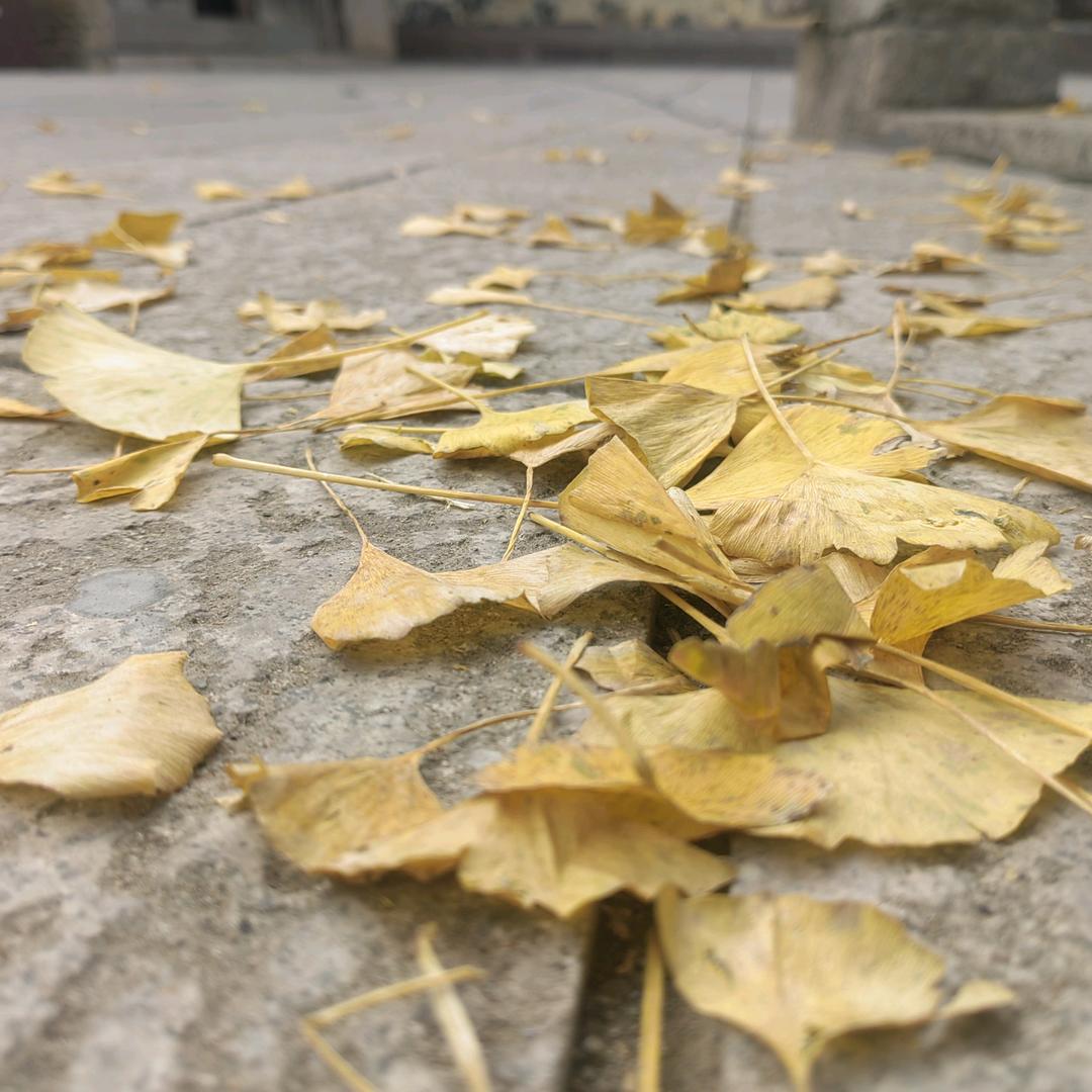 小熊