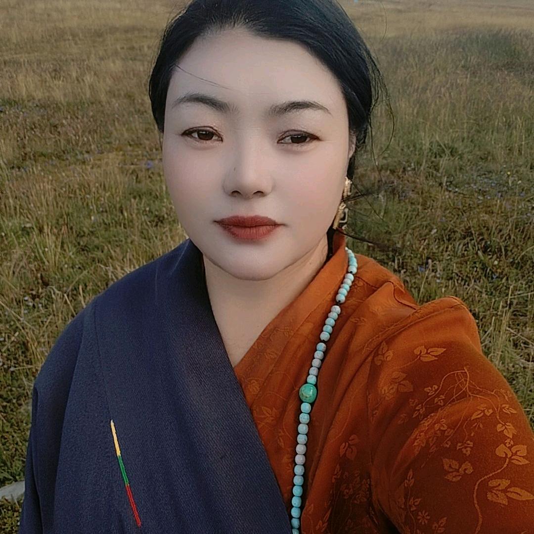 泽机