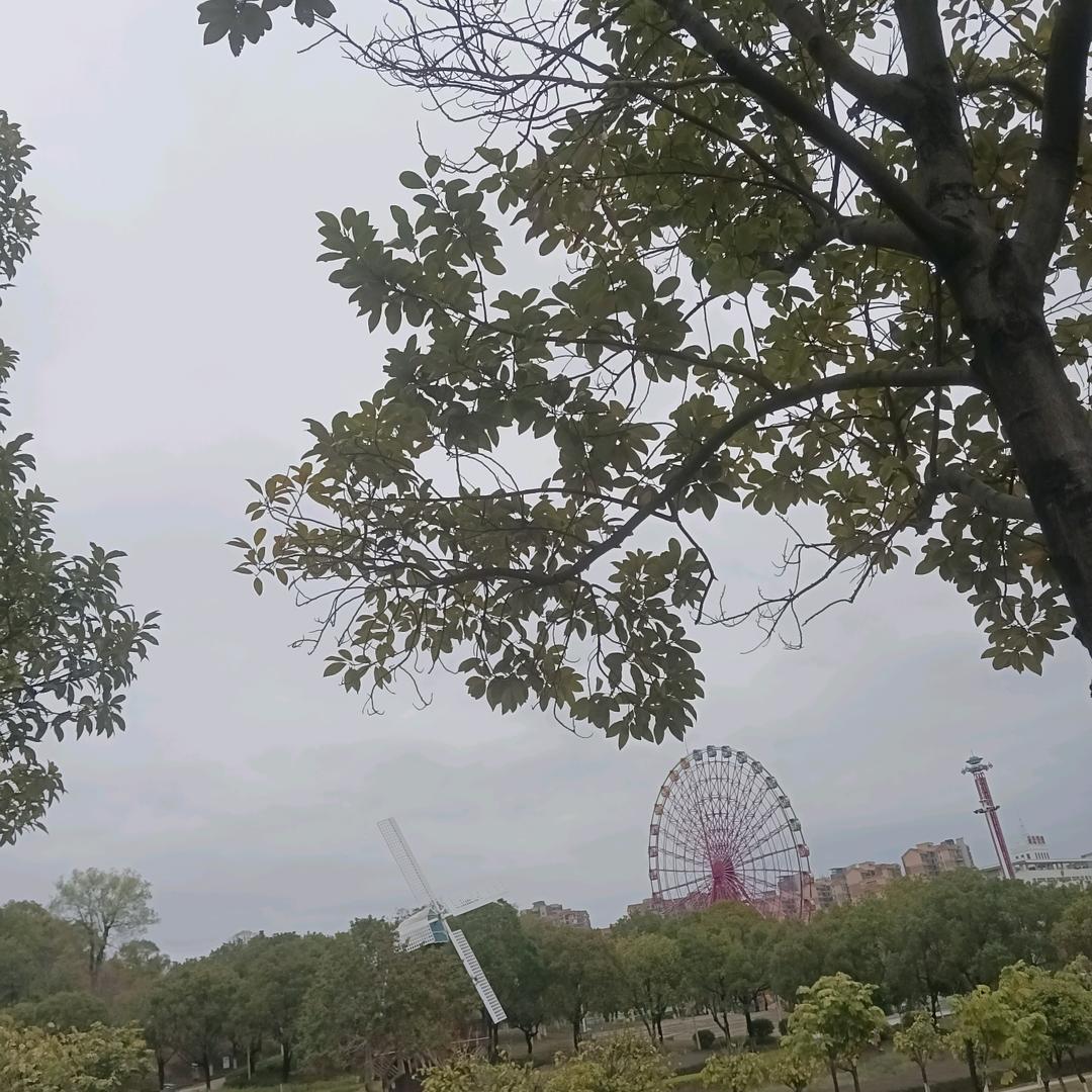 何和