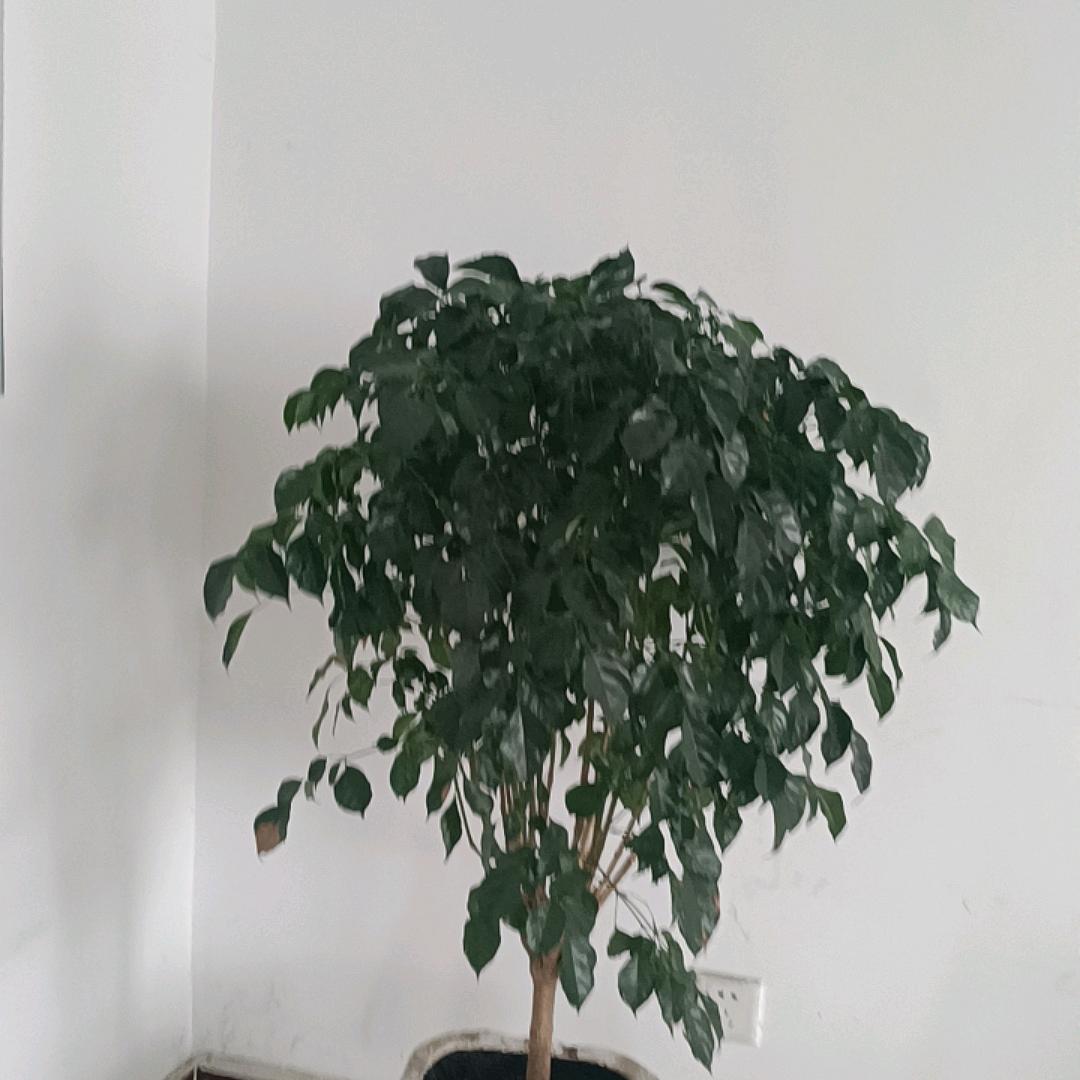 晋渊山泉榆次迎宾店