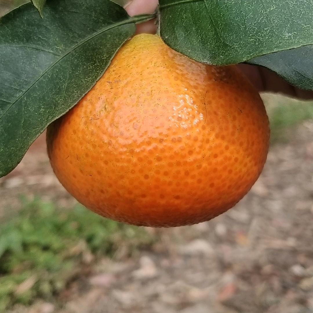 开开心心每一天。