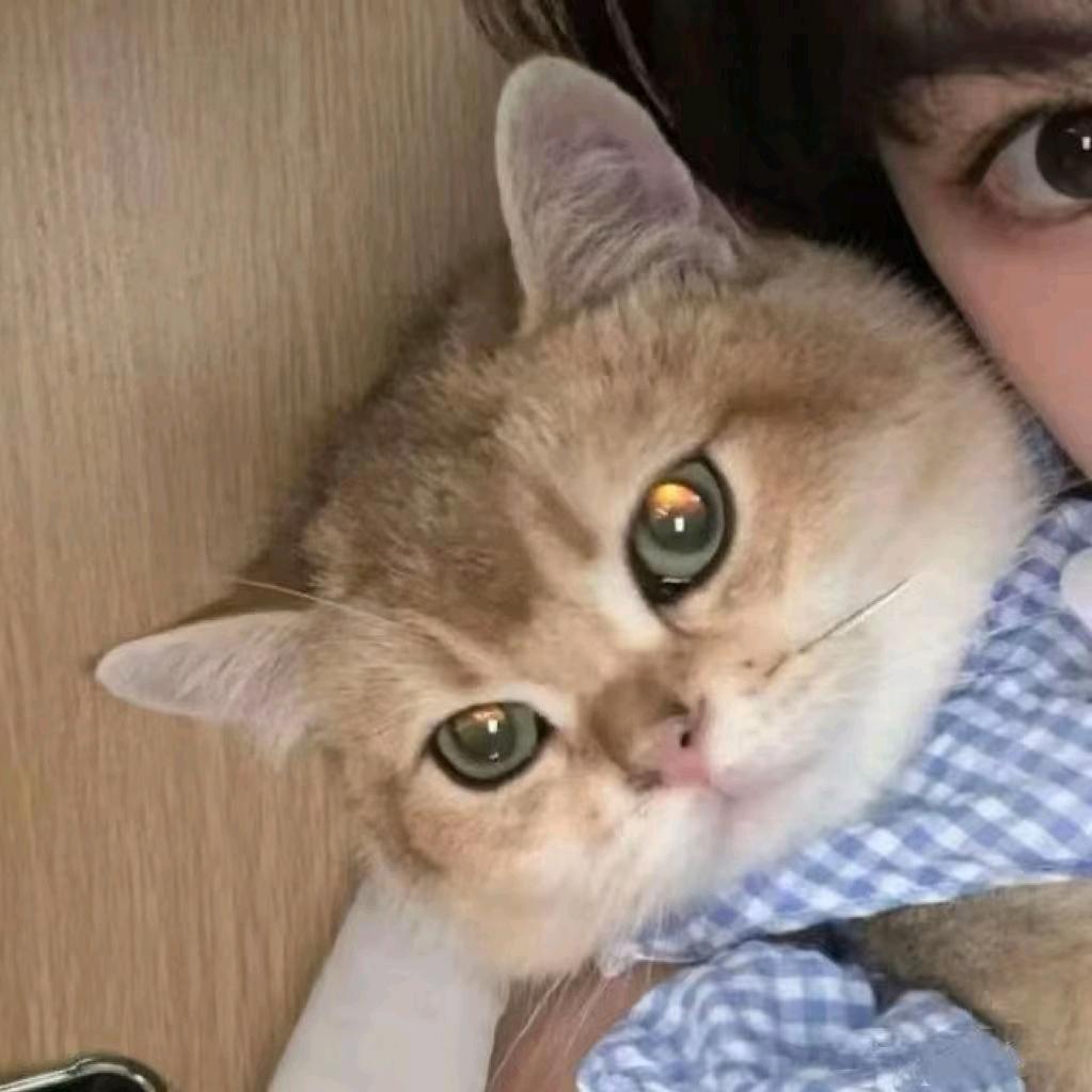 玖歌