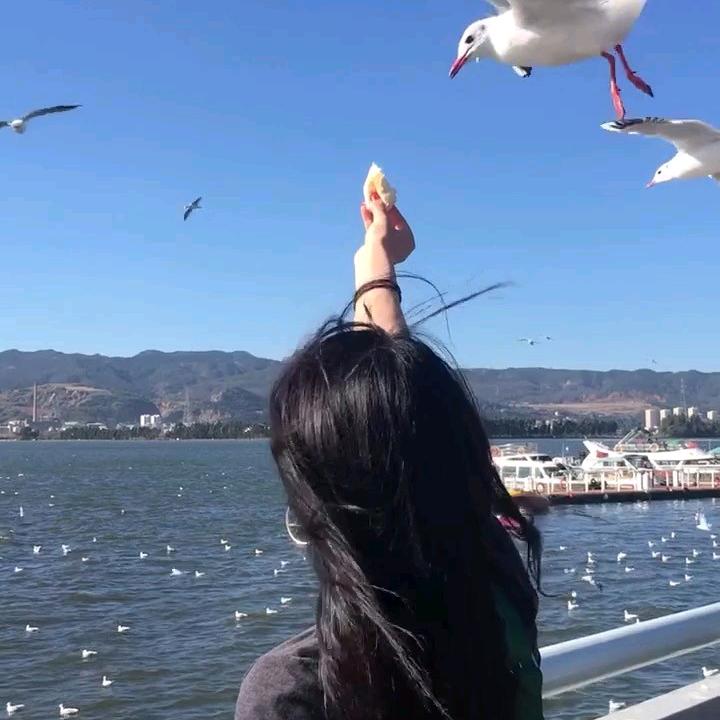康蜜