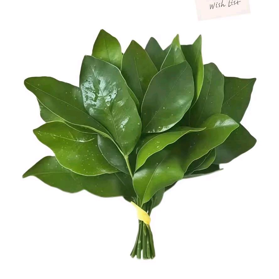 地瓜不是瓜🍠