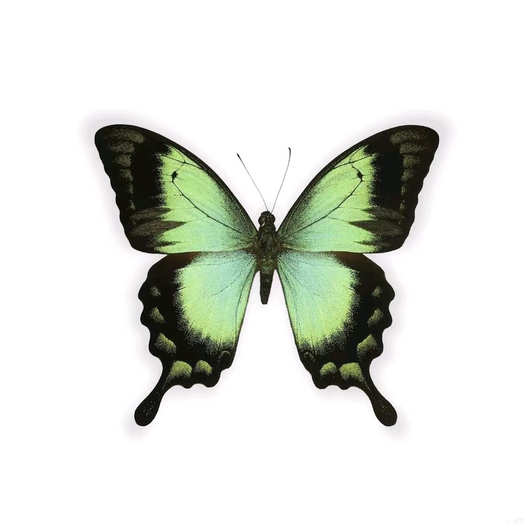 正在蠕动……♪