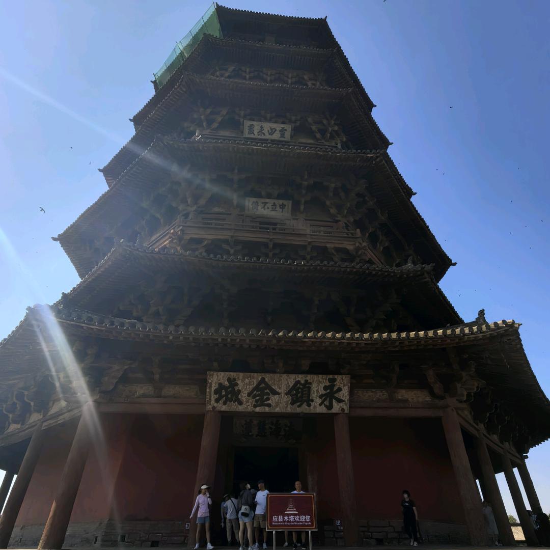 老王的炒股日记