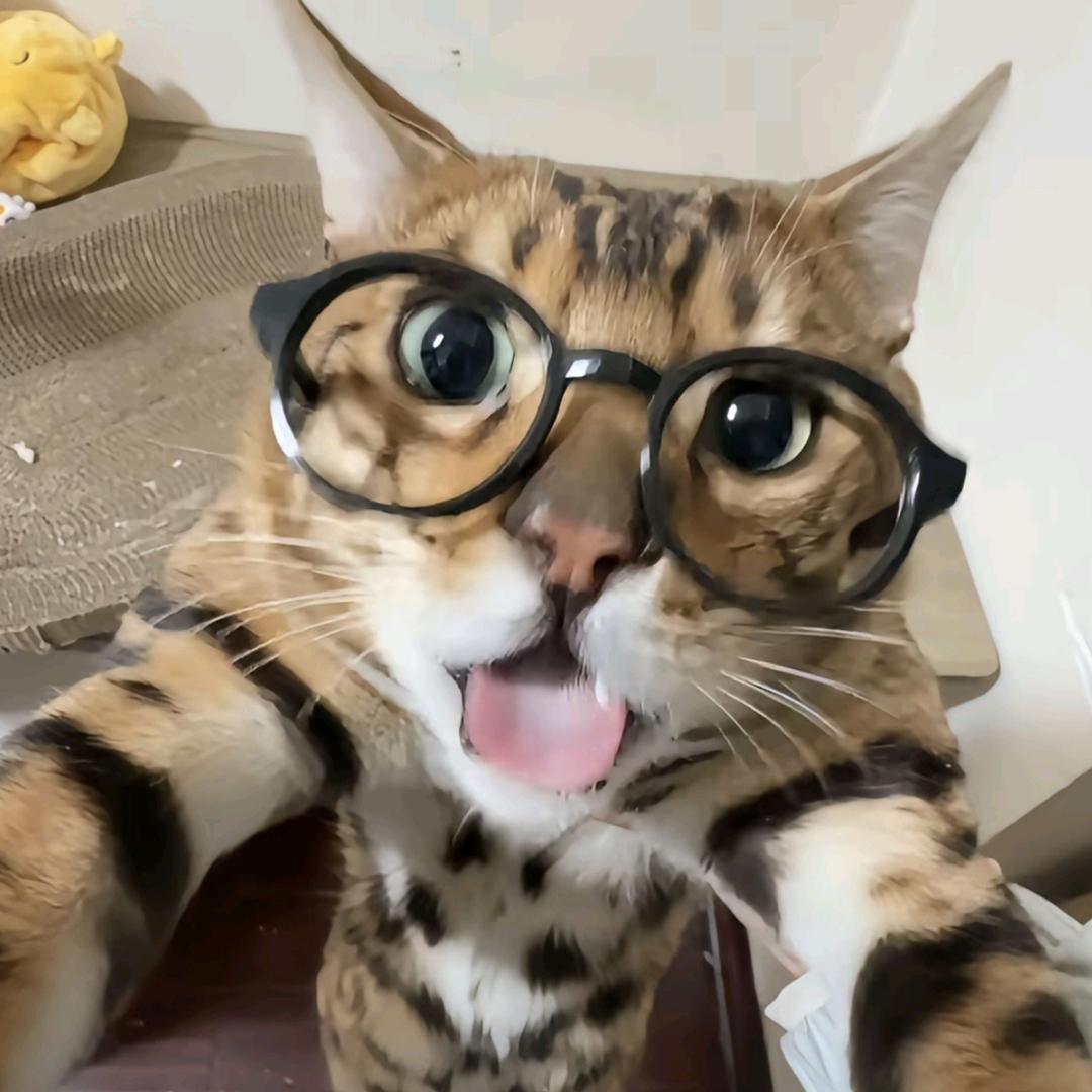 @kk