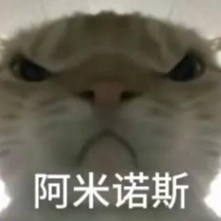 十一峒