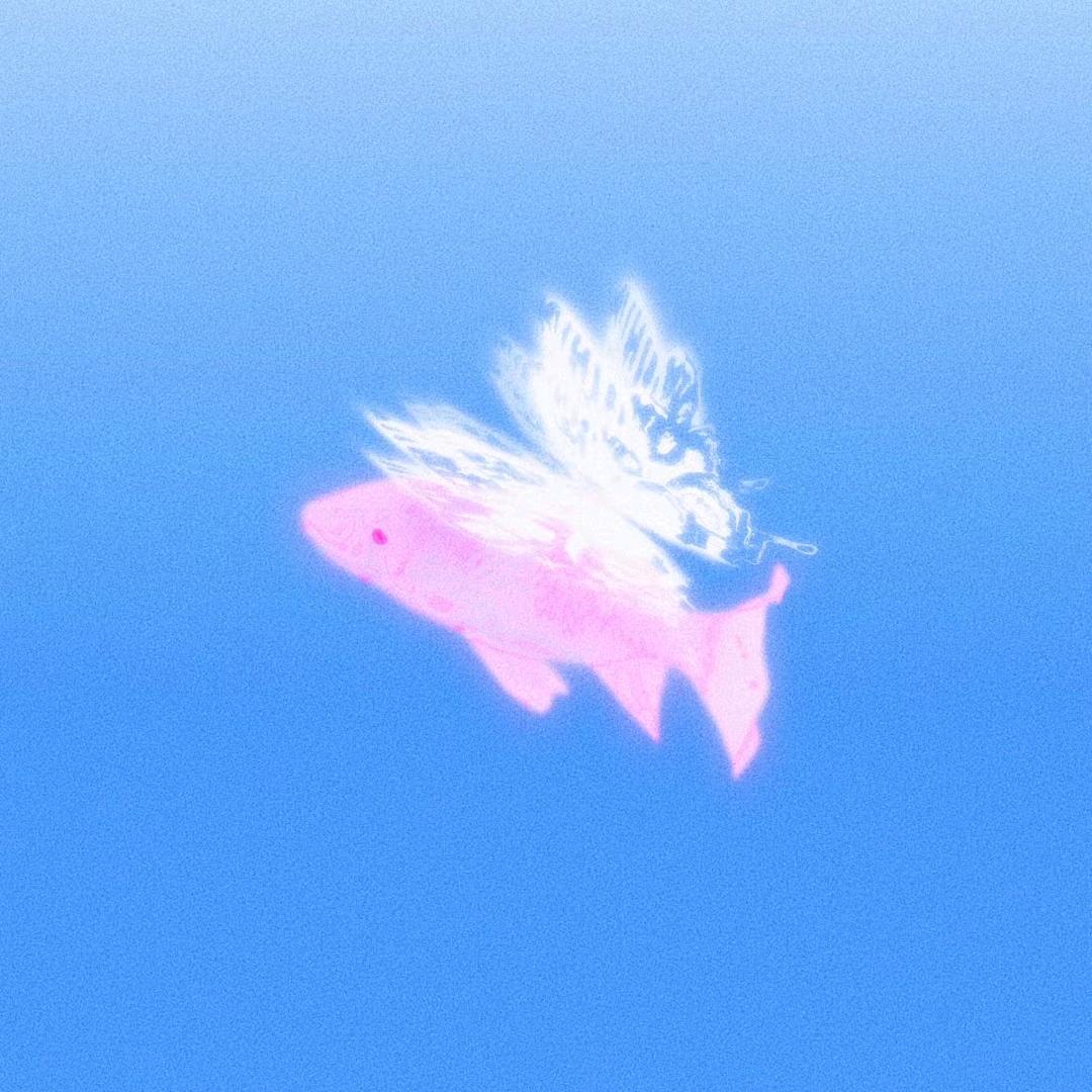 一个菜包子