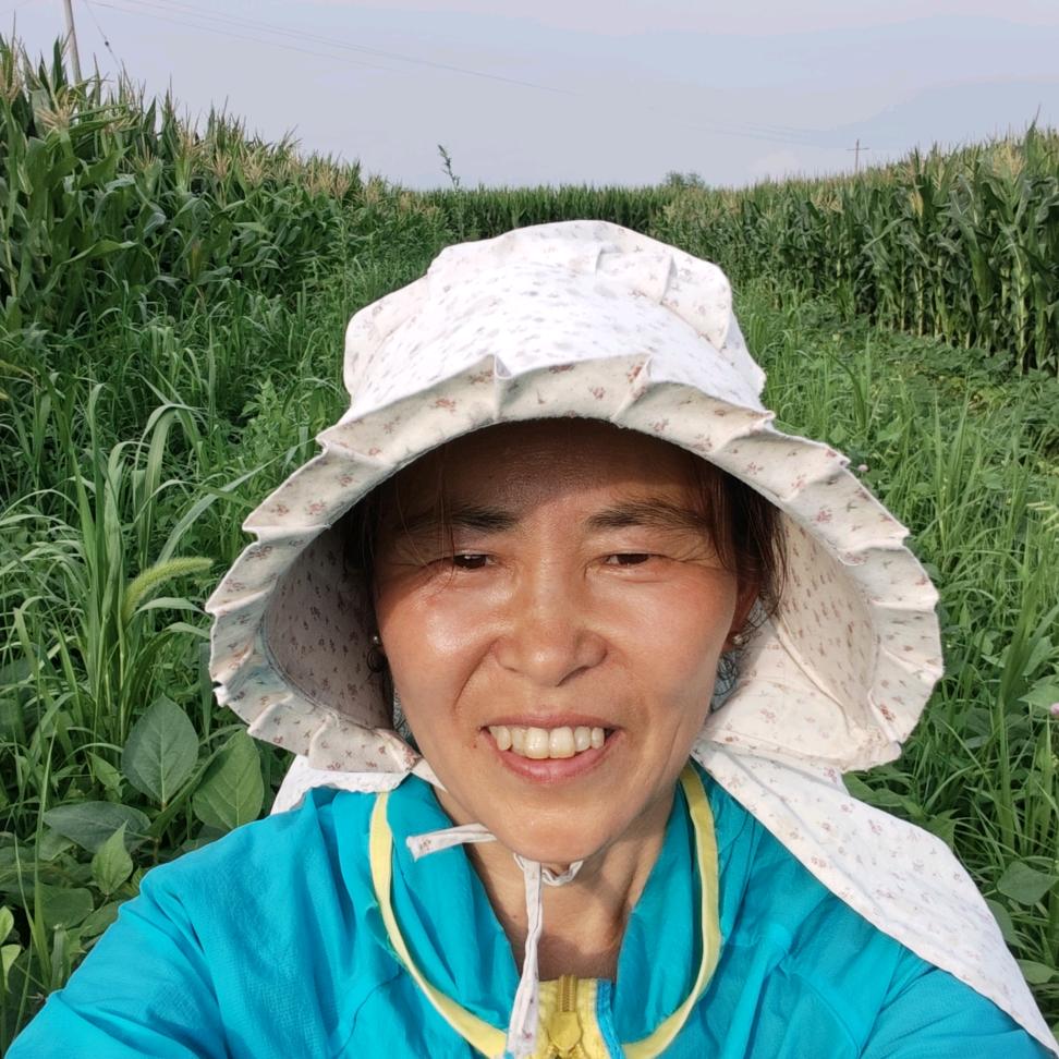 酵素生态农耕叶淑霞