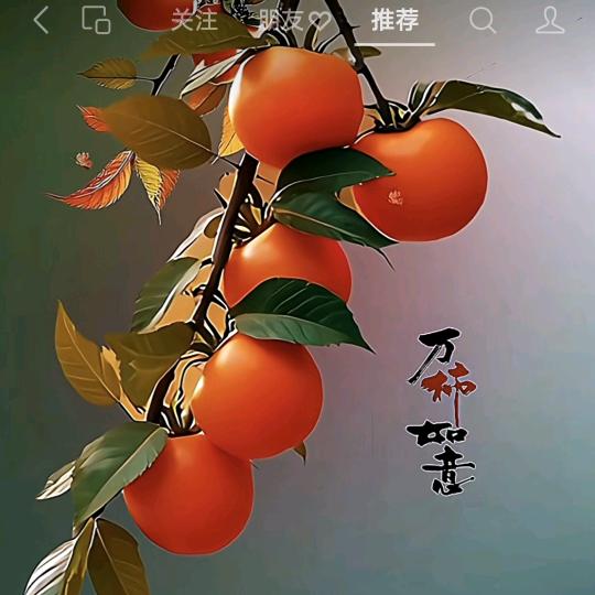 爱钓鱼的孟