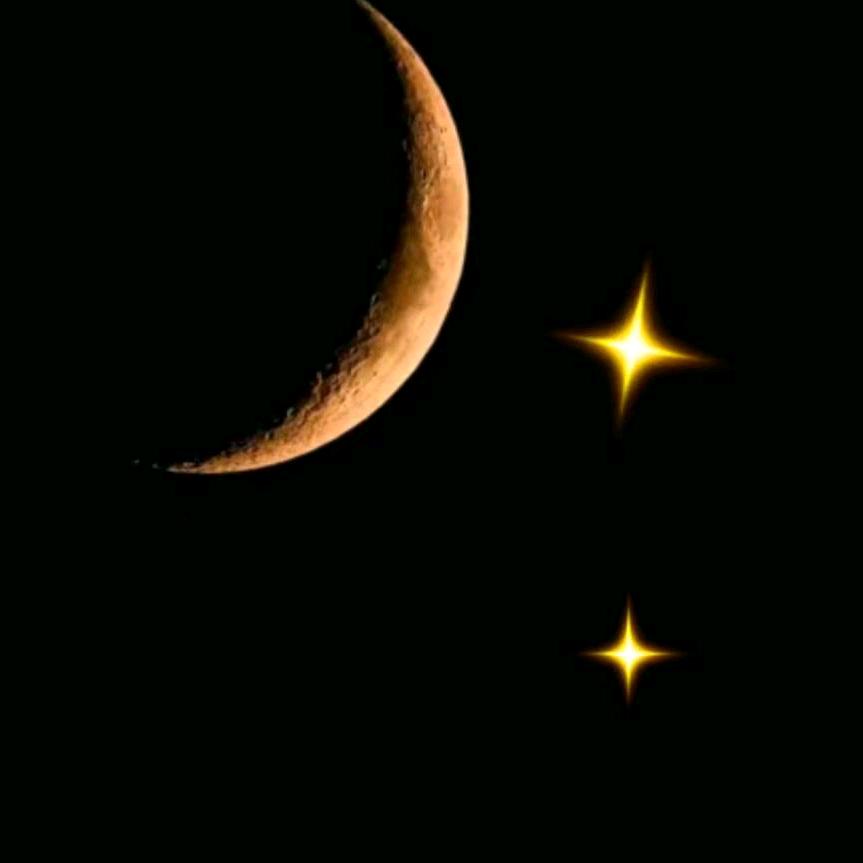 🌊²⁸¹三天不打上房揭瓦