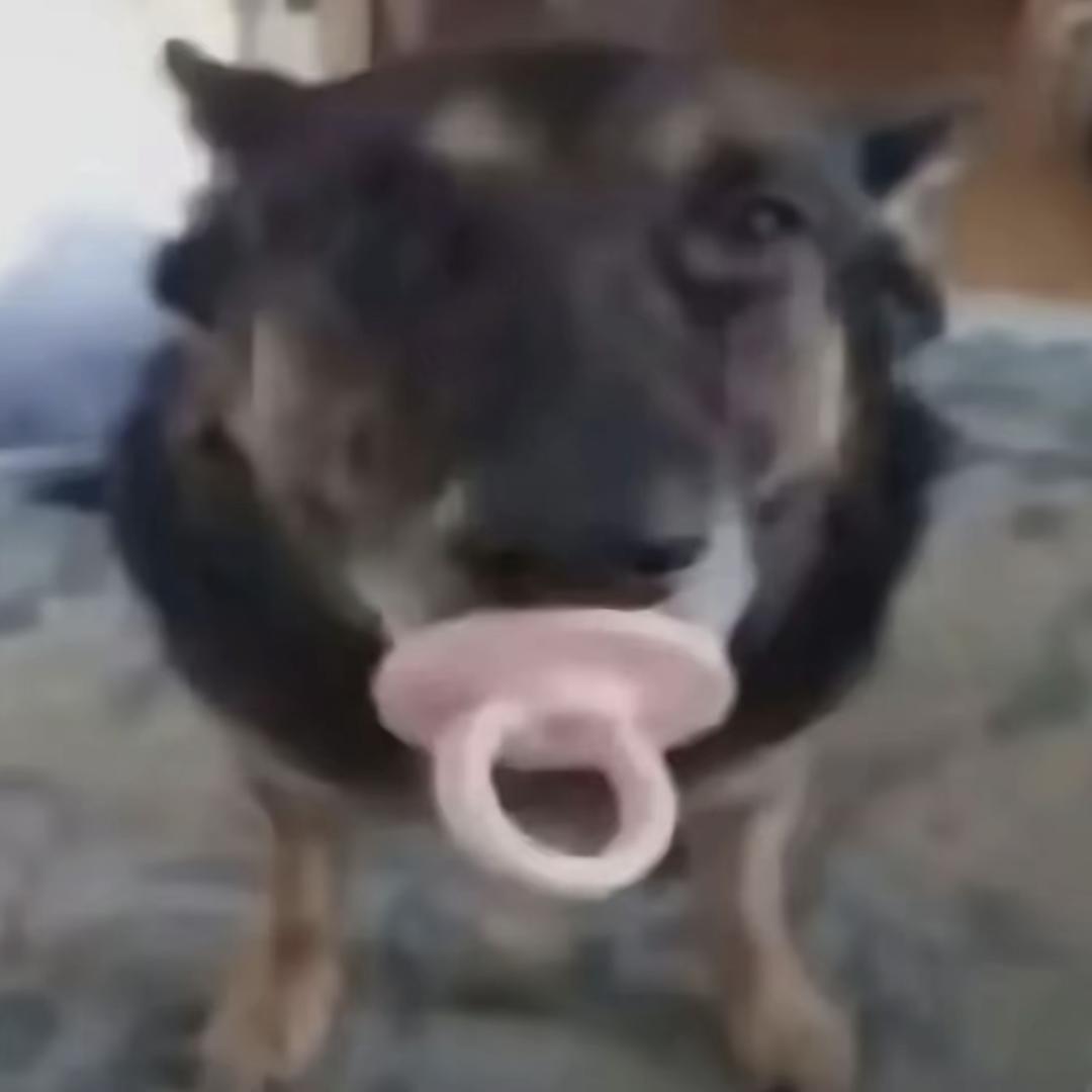 田系 口阝可Ⱉฅ