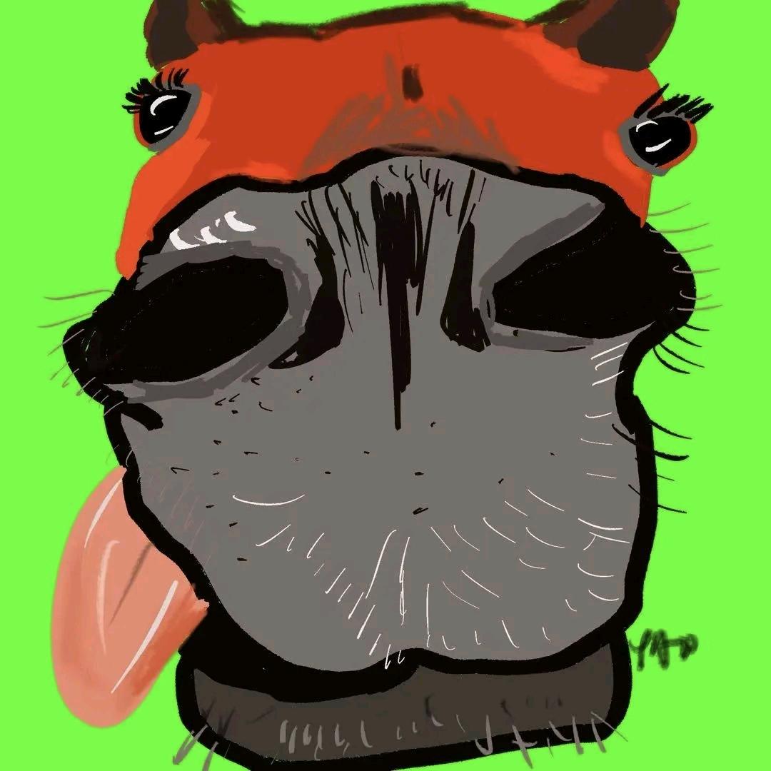 京泽