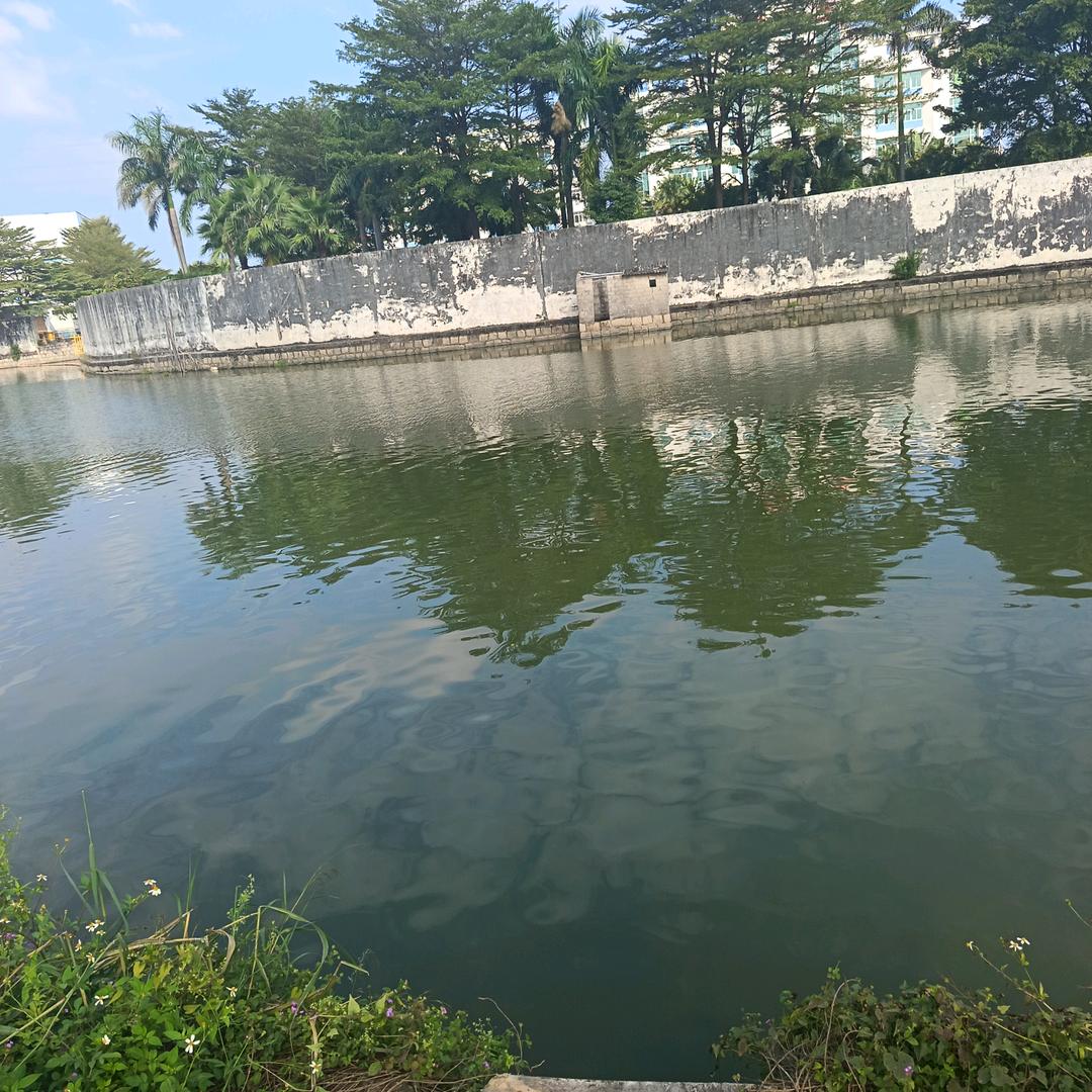 爱你一生🎧