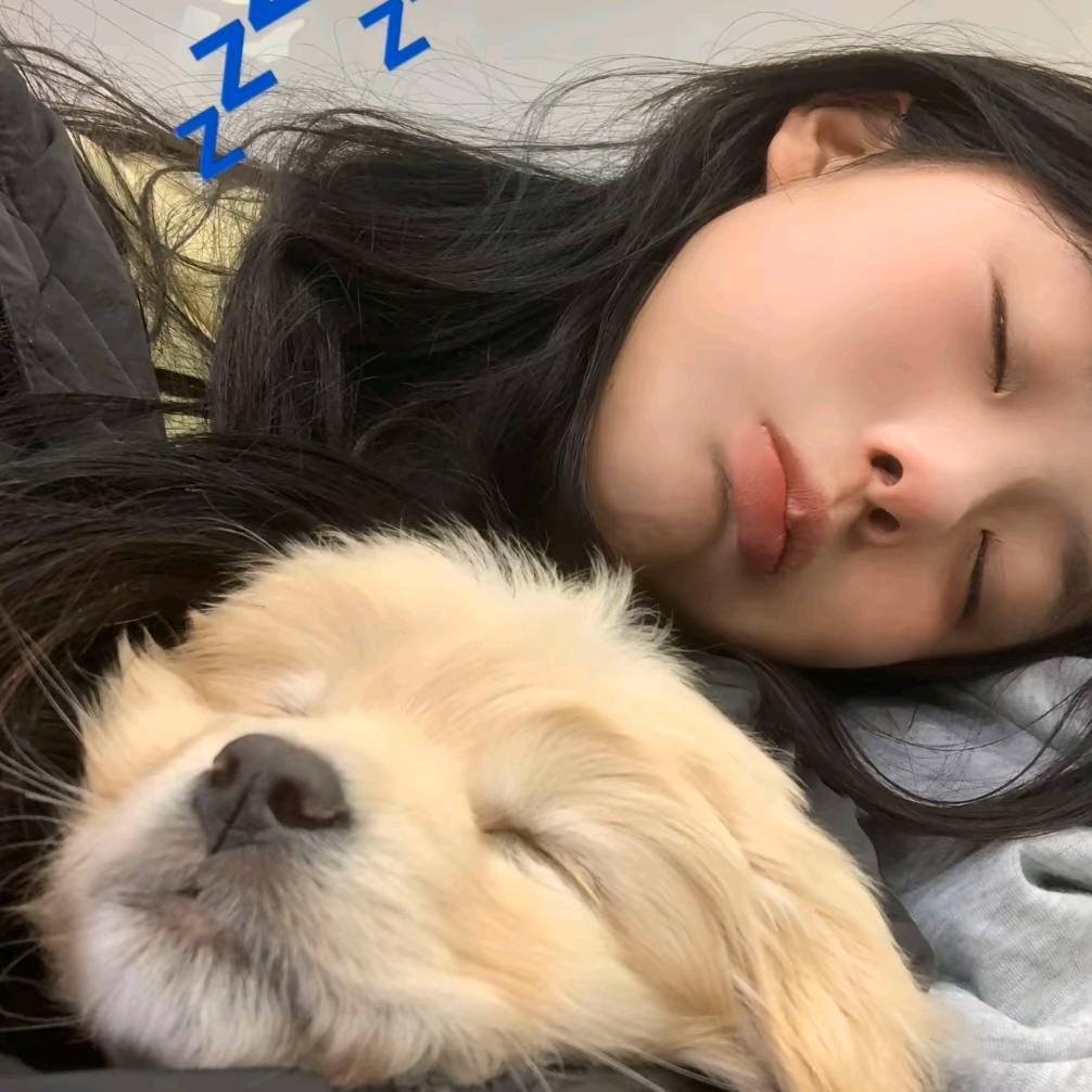zzz.