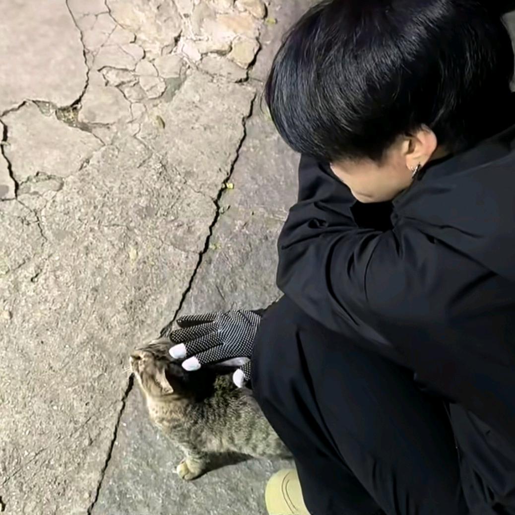 馠緗