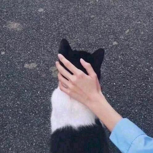 段嘉许.
